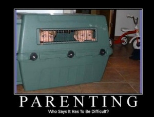 Verge of Twinsanity: The Rantings of a Twin Mom