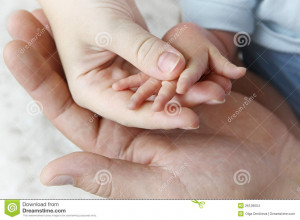 Stock Images: Hands of mother, father and baby