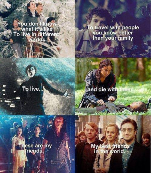 ... harry potter, hunger games, lord of the rings, narnia, percy jackson