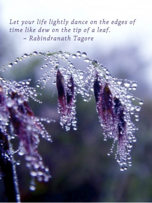 ... edges of time like dew on the tip of a leaf.” ~ Rabindranath Tagore