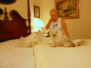 Passionate Love Making Bed