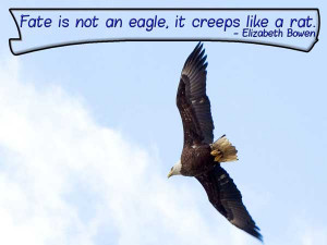 Fate is not an eagle, it creeps like a rat. 