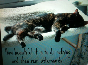 How beautiful it is to do nothing and then rest afterwards ... :)