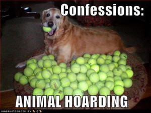Animals and hoarding: Such a sad combo