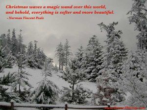 Christmas waves a magic wand over this world ,