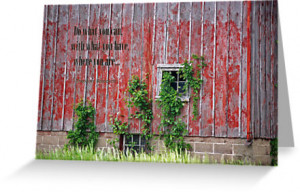 Weather-Beaten Wisdom