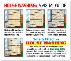 License Rights - New York State Office Of Children And Family ...