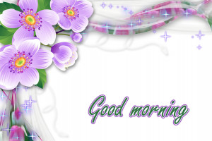 Good morning Wishes Flowers Wallpaper