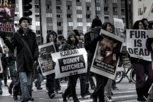 Fundamental Laws to Know if you Participate in Non-Violent Protests