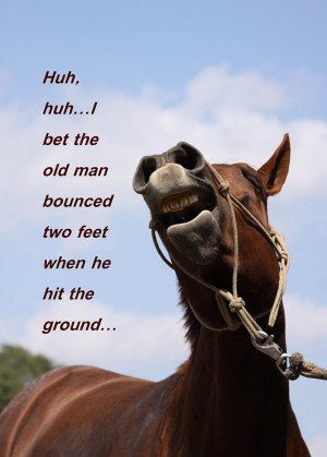 Favorite Horse Quotes And