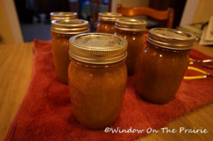 windowontheprairie.com