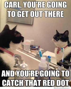 Self motivation cat – Carl you’re going to get out there and…
