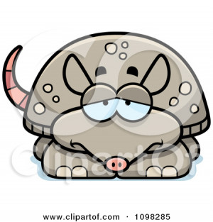 Related Pictures Broken...