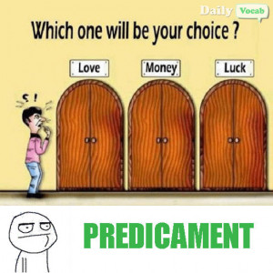 Predicament Vocab Meme...