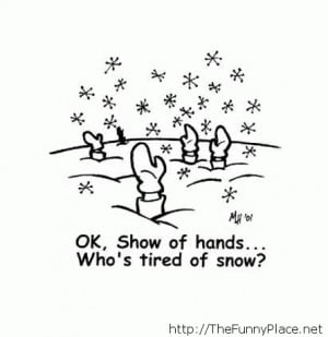 ... quotes, funny sayings, humor, funny winter, winter 2013, funny new