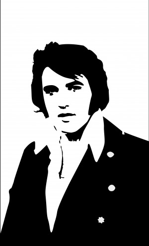 Elvis Presley Canvas Prints And Elvis Presley Canvas Art For Sale