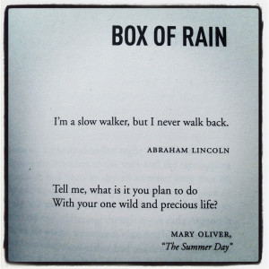 Cheryl Strayed