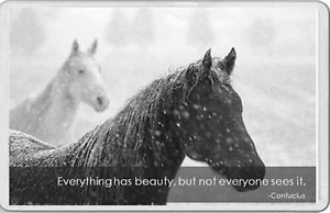 TWO-HORSES-IN-THE-SNOW-FRIDGE-MAGNET-ANIMAL-LOVER-equestrian-Confucius ...