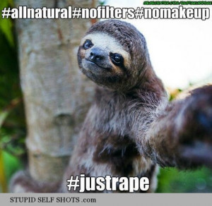 Funny Sloth Pictures With Quotes Funny sloth quotes