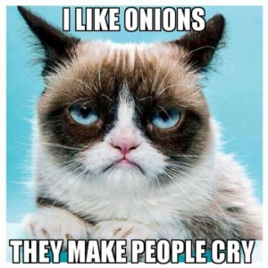 Top 40 Funny Grumpy cat Pictures and Quotes