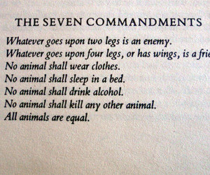 Quotes Animal Farm Books George Orwell Scans