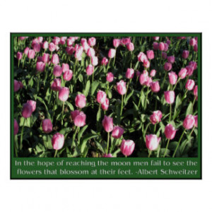 Tulips With Quotes And Sayings Posters & Prints