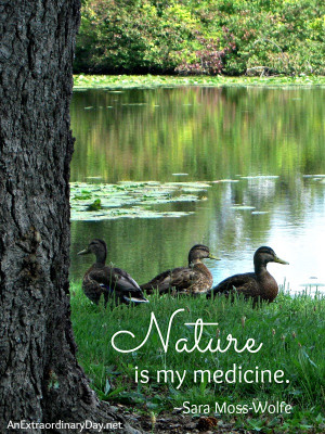 Nature is my medicine ~ Quote :: The Week at a Glance 9/7 - An ...