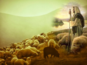 Fascinating Articles and Cool Stuff