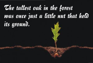 Quotes - Success doesn't happen overnight.