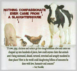 Factory Farms....not what you think