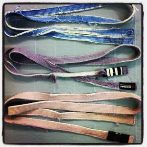 An Ode To The Art Of Jiu-Jitsu (20 Pics)