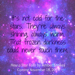 Conclusion of the How a Star Falls Blog Tour!