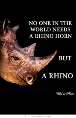 No one in the world need a rhino horn, but a rhino Picture Quote #1