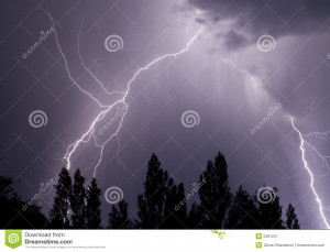 Lightning Cracks Over Trees...