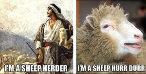 Funny photos funny sheep herder hurr durr