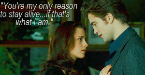 ship Edward and Bella because they symbolize true love, despite the ...