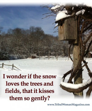 We had another snow storm yesterday. Yes, I am one of those who loves ...