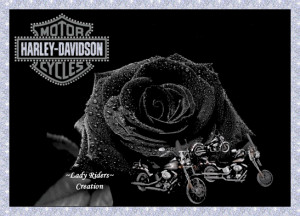 Easy Rider Girls Layout http://www.coolchaser.com/graphics/tag/lady ...