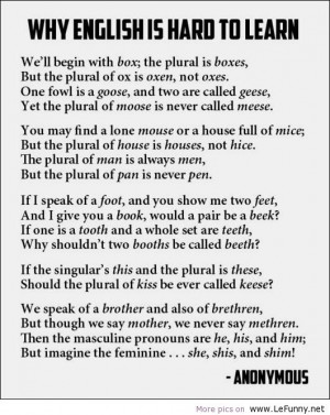 funny animals, funny jokes, funny pics, funny pictures, funny quotes ...