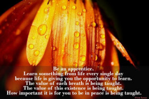 Maharaji Quotes : Life is giving you the opportunity to learn