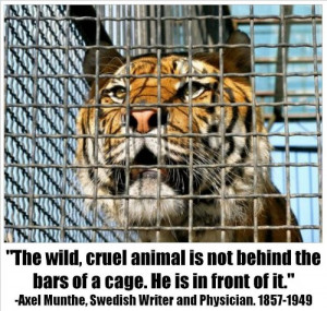 Animals in captivity – cruelty toward animals
