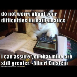 Einstein Math Difficulties Quote Cat picture