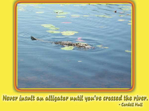 ... insult an alligator until you’ve crossed the river.