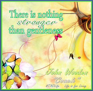 Nothing Stronger Than Gentleness...