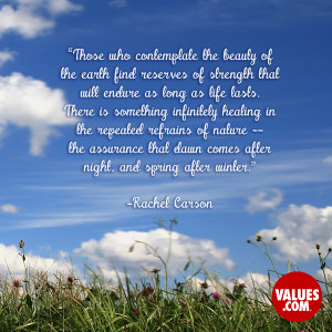An inspiring quote about #appreciatingnature from www.values.com # ...