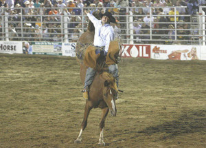 ... evidence' electric prod used on horse that died at Cowtown Rodeo
