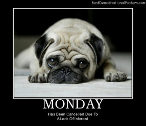 monday-cute-dog-best-demotivational-posters