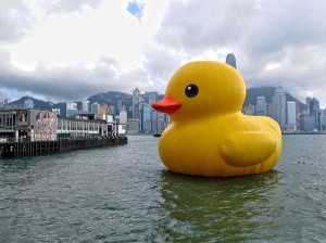 The big yellow duck is taken from Florentijn Hofman’s big yellow ...