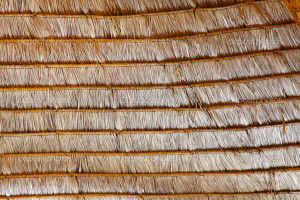 Texture of hay stack roof in Thailand - Stock Image