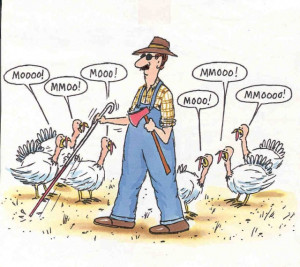 turkey thanksgiving jokes